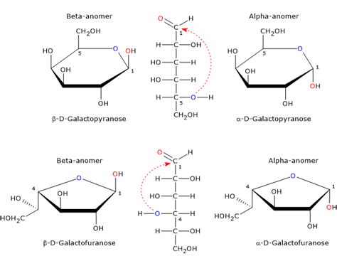 Alpha Pyranose