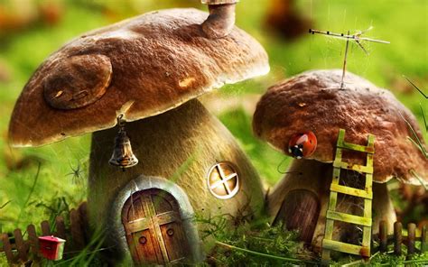 Mushrooms House Wallpaper Photo Manipulated Nature Wallpapers in jpg format for free download