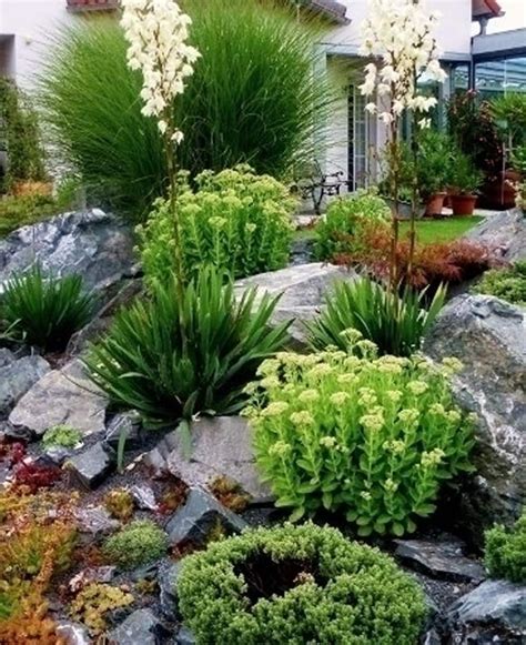 a garden filled with lots of plants and rocks