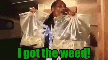 Smoking Weed GIFs - Find & Share on GIPHY