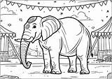 A Circus Elephant Coloring Page Free Printable sketch template