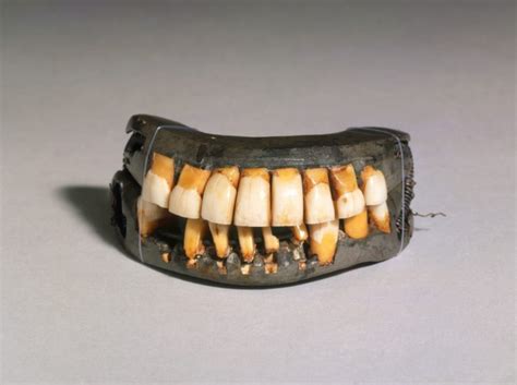 George Washington's Teeth Wiki