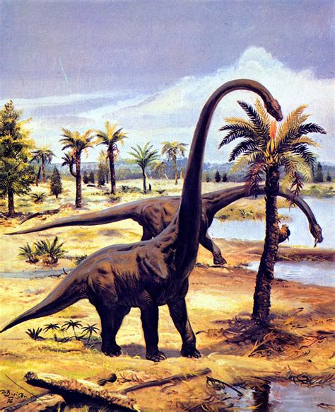 Zdeněk Burian: Barosaurus