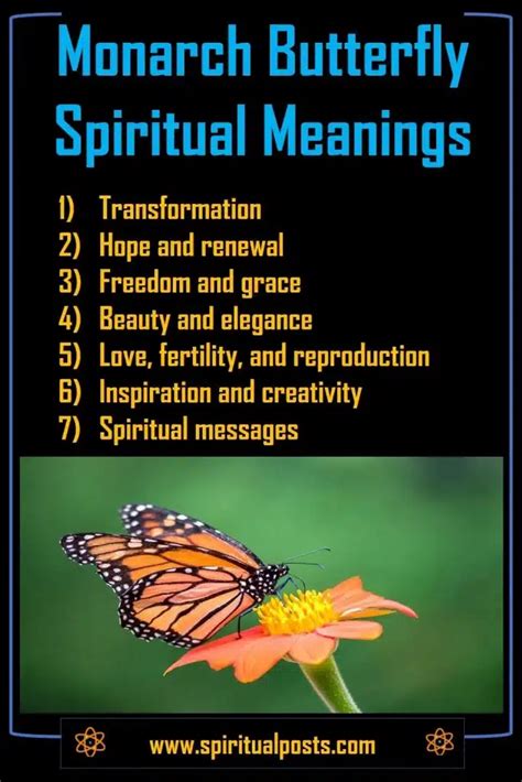 10 Spiritual Meanings of Monarch Butterfly & Symbolism | Spiritual Posts