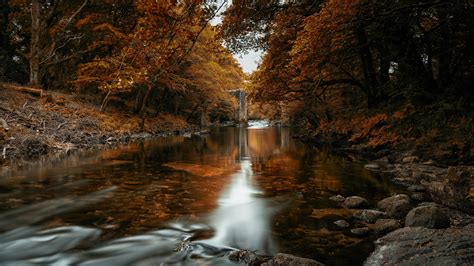 Fall Of Autumn Trees Hd Nature 4k Wallpapers Images B - vrogue.co