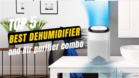 Best Dehumidifier and Air purifier combo 2024 - YouTube