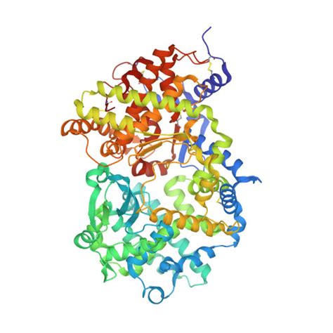 RCSB PDB - 6SVY: Crystal structure of Neprilysin in complex with Sampatrilat-ASP.