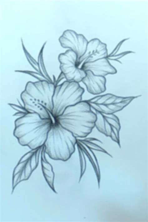 Beautiful Flower Drawing With Pencil Easy | Pencil drawings of flowers, Flower drawing, Easy ...