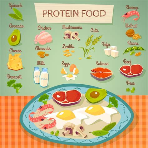 Free Vector | Protein Food Raw And Cooked Background