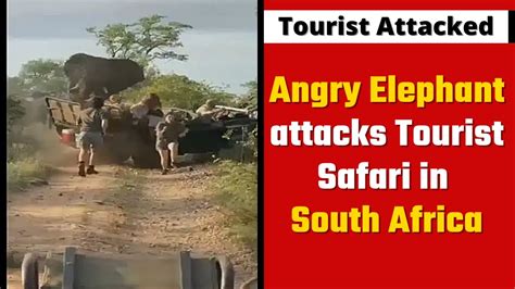 TERRIFYING VIDEO : Angry Elephant attacks Tourist Safari in South ...