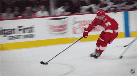 Hockey Gifs | Others