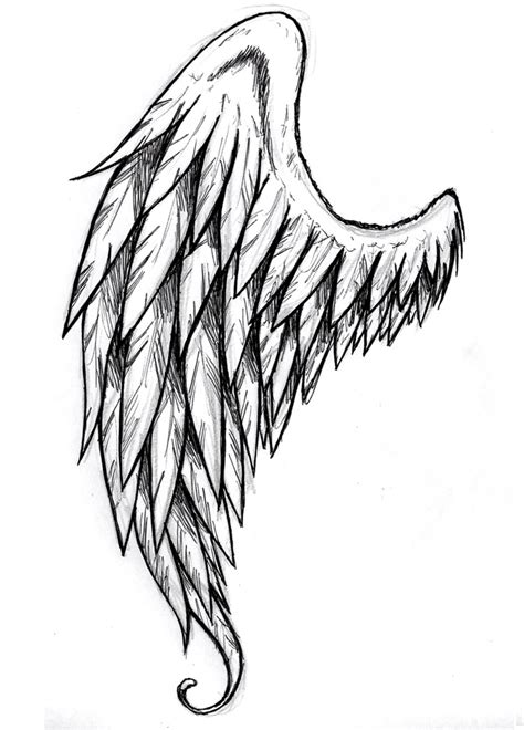 Angel Wings Line Drawing at GetDrawings | Free download