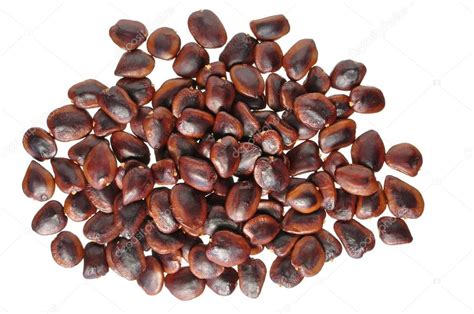 Tamarind seeds — Stock Photo © czuber #12344319