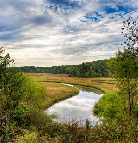 Hiking and Photographing York River State Park | Martin Belan