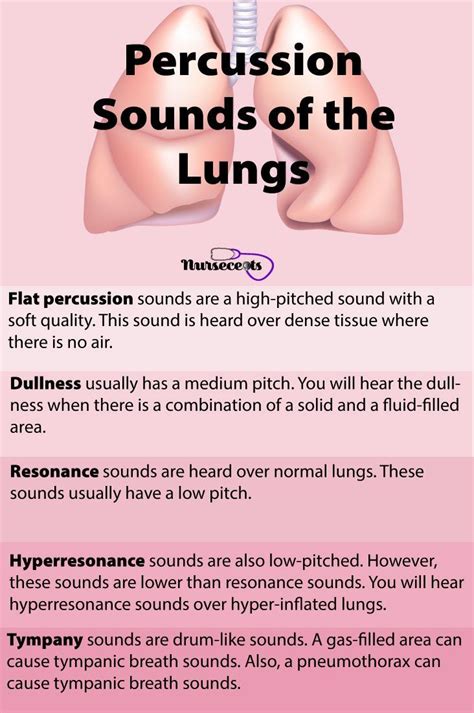 Nursing Health Assessment of the Respiratory System