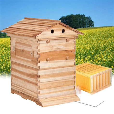 wuyule 7Pcs Auto Beehive Frame Comb Wooden Beehive House, Automatic ...