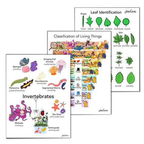 Life Science Posters — Jolie Canoli