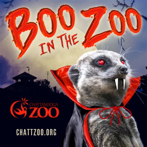 Zoo Events | Chattanooga Zoo