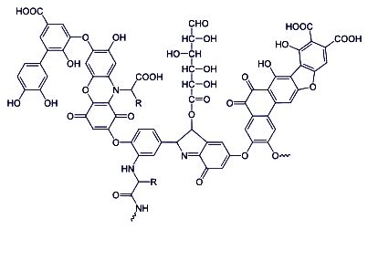 Axit Humic – Humic Acid - Phân Bón FNANO