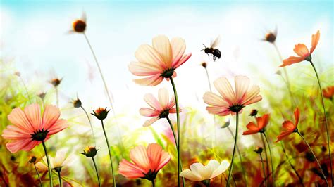 Download Cute Spring Desktop With Bee Wallpaper | Wallpapers.com