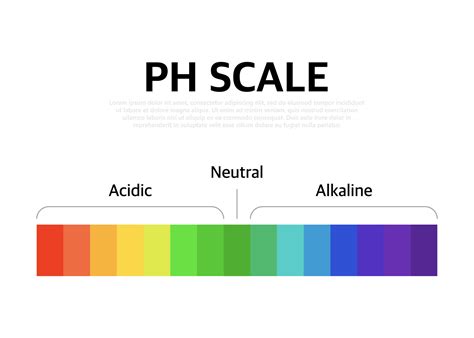 el ph escala universal indicador ph color gráfico diagrama. vector ilustración con ph escala ...