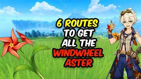 Get All the Windwheel Aster with 6 Routes | Windwheel Aster Locations Genshin Farming guide ...