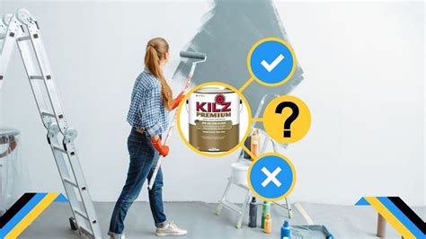 Does KILZ Kill Mold - Mold Killing Paint And Primer