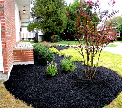 Stunning Black Mulch Landscaping Ideas You Must See