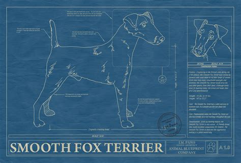 Smooth Fox Terrier Dog Art Blueprint | Animal Blueprint Company