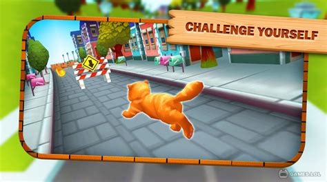 Cat Run Game - Download & Play for Free Here