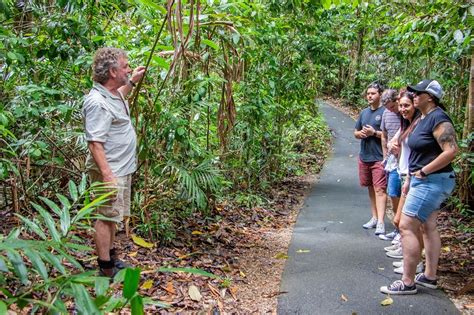 Cairns Rainforest Tours | Wetlands |Waterfalls | River Cruise