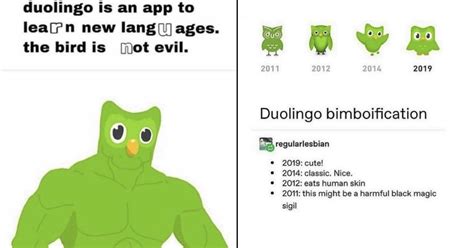 Dumb Duolingo Memes For Both Linguists And Language Luddites - Memebase ...