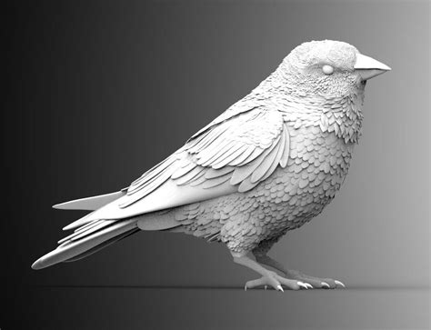 Sparrow - 3D Model by Explorer