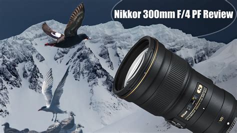 Nikon 300mm F4E PF Nikkor Lens Review - Portable, Lightweight Lens for Wildlife Photography