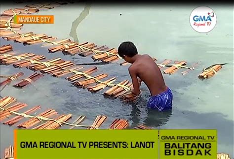 Balitang Bisdak: Diskarte Alang sa Pag-Eskwela | Balitang Bisdak | GMA Regional TV - Online Home ...