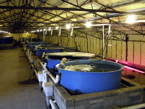 WaterSmith Aquaculture Systems | WaterSmith Systems