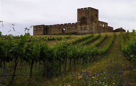 The Castles of Alentejo in Portugal | European castles, Abandoned ...