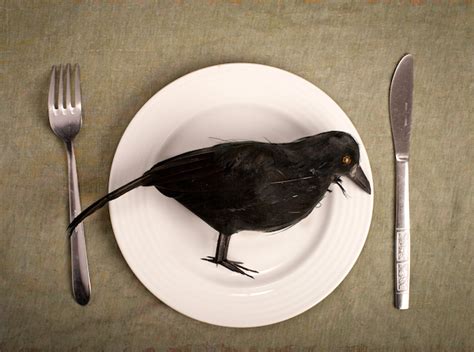 Eating Crow | Opinion - Conservative | Before It's News