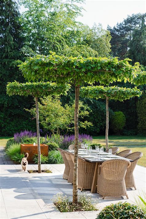 SUSSEX GARDEN | Pollyanna Wilkinson Garden Design