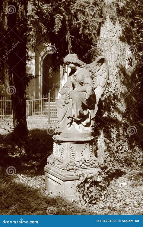 Angel at cemetery stock photo. Image of classic, mystery - 104794020