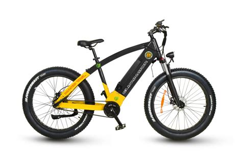 Segway Maui presents Eliminator Q75 Belt Drive Electric Bicycle