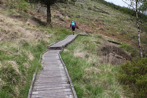 Hafren Forest walk in Wales | Walking meditation, Benefits of walking ...