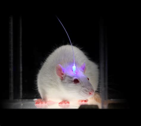 Optogenetics Resource Center