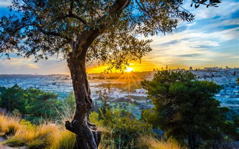 Jerusalem Sunset Stock Photos, Pictures & Royalty-Free Images - iStock