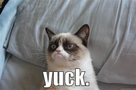 grumpy cat yuck - quickmeme