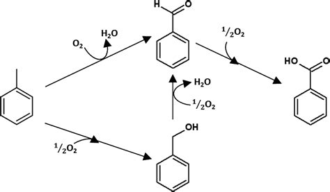 Reaction scheme of the oxidation of toluene. | Download Scientific Diagram