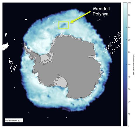 Weddell Sea Polynya over Maud Rise | Mallemaroking