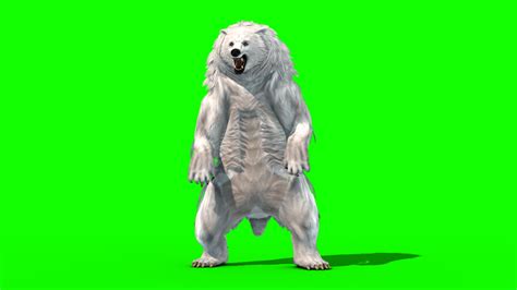 Polar BEAR Roar - 3D Model Animated - PixelBoom