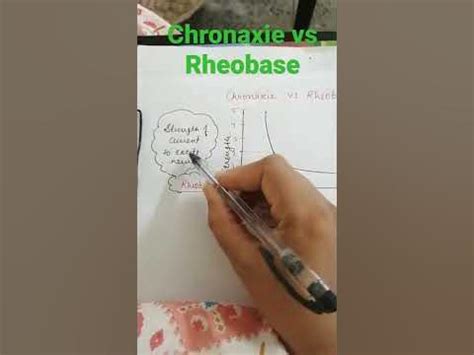 chronaxie vs Rheobase - YouTube