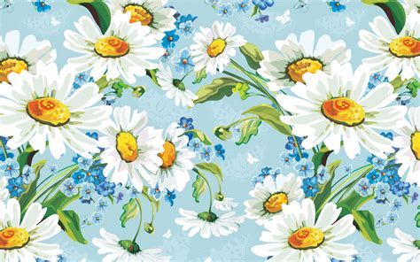 Wallpaper : drawing, illustration, flowers, daisies, flower, background, flora, meadow ...